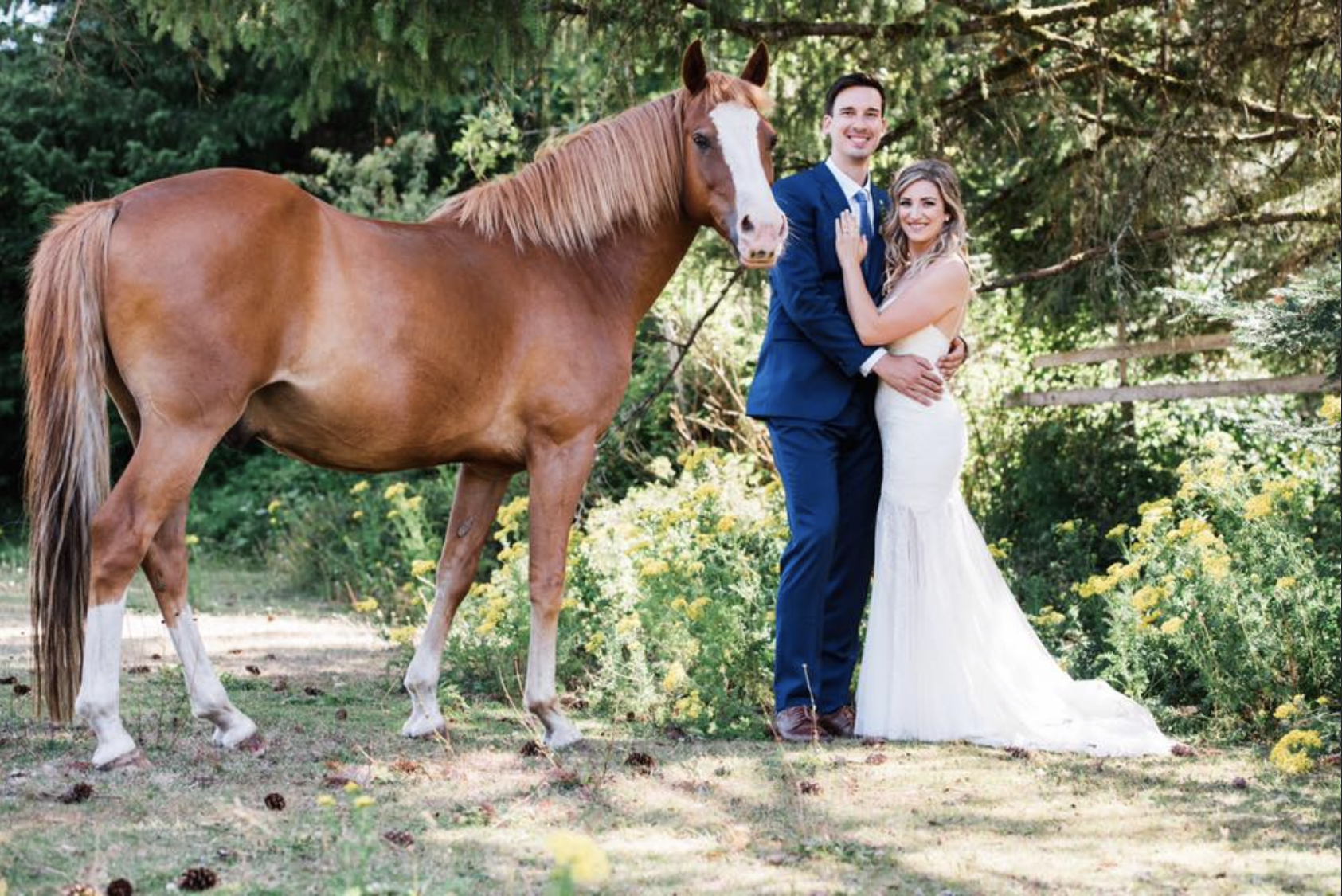 vancouver island farm wedding venue